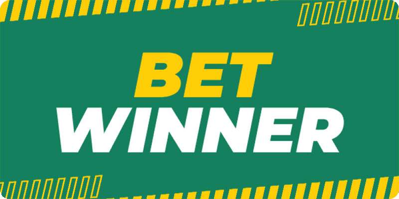Discover the Thrill of Betting with BetWinner