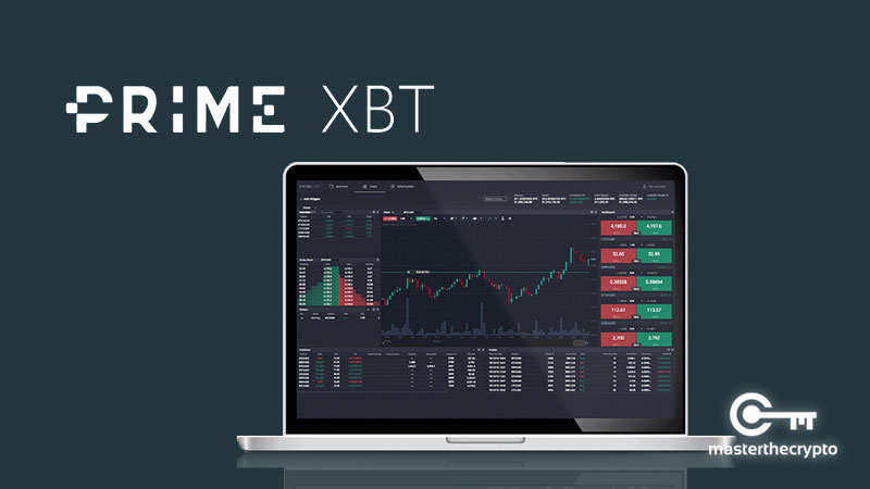 PrimeXBT Live Trading Your Guide to Real-Time Trading Success