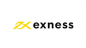 Exploring Exness Social Trading A Guide for New Traders