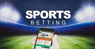 Casinos That Accept Revolut, Wise & Skrill 26