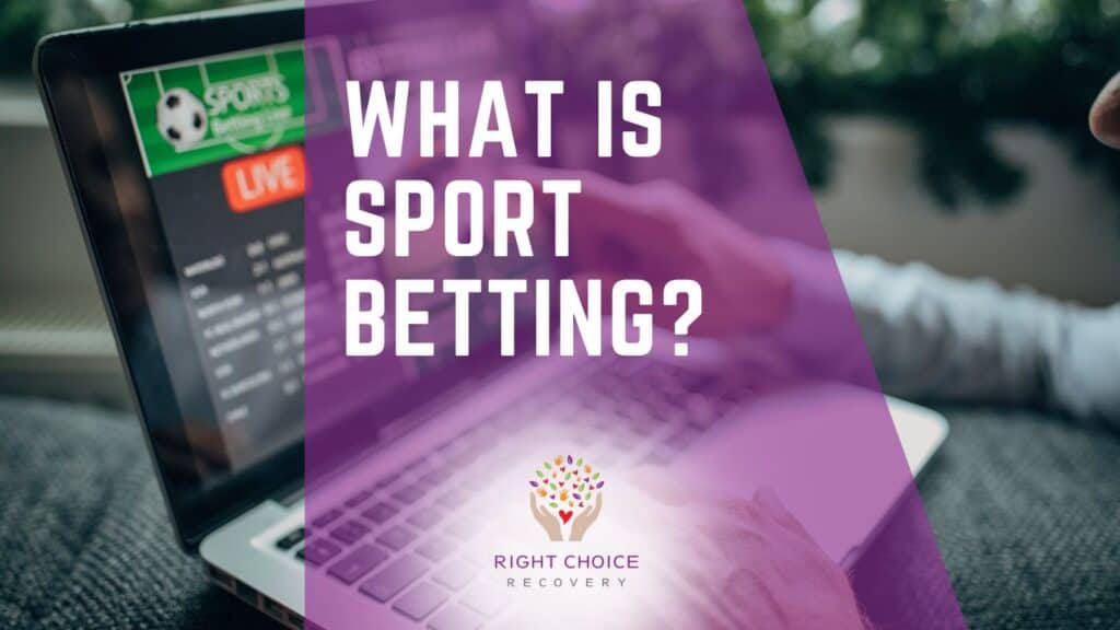 Essential Betting Tools for Professionals - Maximize Your Betting Strategy