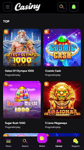 Ultimate Guide to Casiny Bonus for Gamblers Ultimate Guide to Casiny Bonus for Gamblers