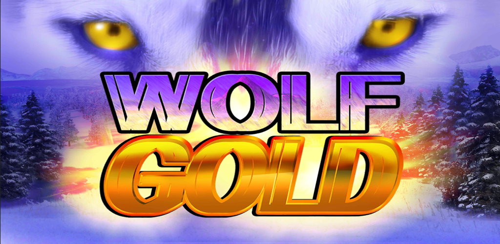 신비로운 세계의 wolf gold 16 신비로운 세계의 wolf gold 16